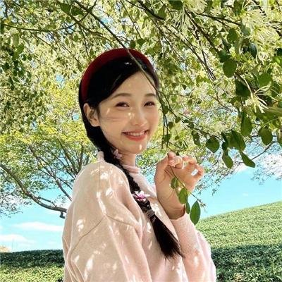 芒果和红色轮椅